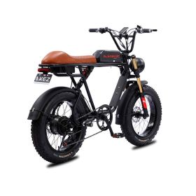 AKEZ S1 750W 48V 20 Inch Flat Tire Electirc Bicycle (Color: Black, battery: 13AH)